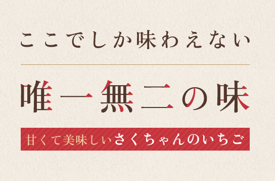 ここでしか味わえない唯一無二の味,甘くて美味しい”さくちゃんのいちご”